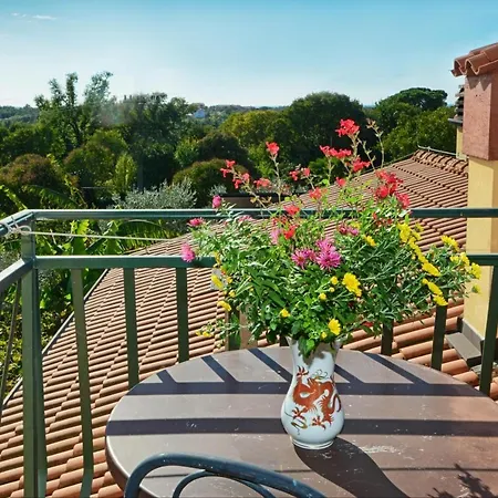 Family Friendly With A Swimming Pool Valica, - 21926 *